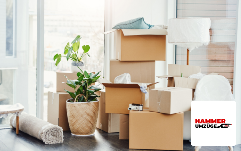 Webdesign Agentur Rosenheim Referenz Umzugsunternehmen Hammer